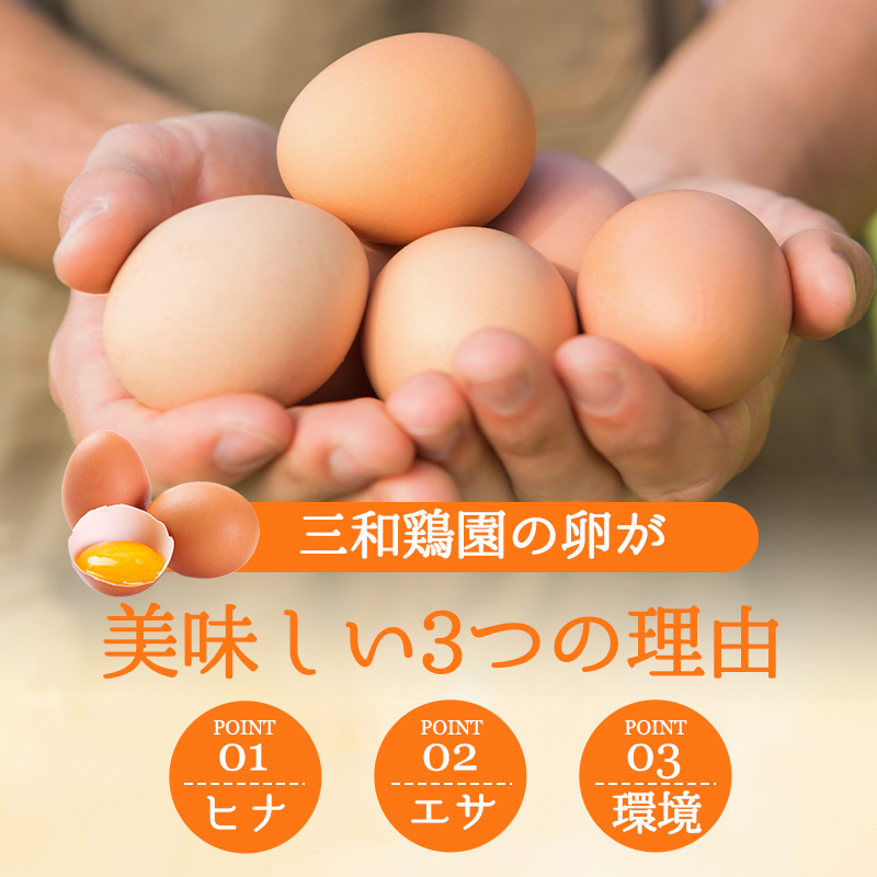 【定期便】毎月/１２回 卵 合計480個 無選別 MS〜LL 京の贈り物 20個×2パック×12回 60,000円