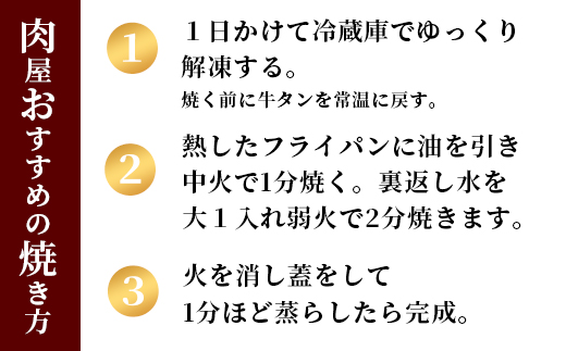 塩タンネギ包み 8個入 30g×8個 | 牛たん タン塩 塩タン ネギ 牛 牛肉 ビーフ 塩味 厳選 人気 焼肉 冷凍 小分け ギフト 贈答用 美味しい お勧め おすすめ 熨斗 舞鶴市 京都府
