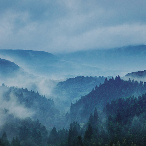 鹿肉ジャーキー Rawto Venison Jerky 25g×12袋 ： 国産 ペットフード ドッグフード 犬用 ペット用 鹿肉 ジャーキー 無添加 おやつ ご褒美 高たんぱく 低脂肪 低カロリー 鉄分 ビタミン 亜鉛 