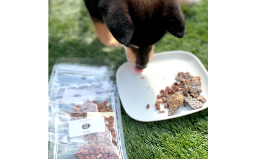 無添加 ペット用 手作り ジャーキー 12種の中から7袋 セット 詰め合わせ 愛犬 納豆 鶏ささみ 牛タン 鶏肉 鹿レバー ペットフード おやつ 餌 エサ 京都 舞鶴