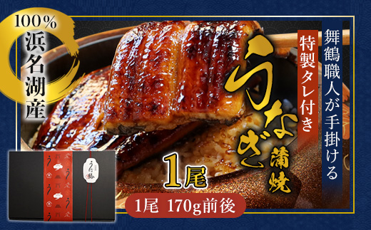 浜名湖産 うなぎ蒲焼き 特製タレ付き 1尾 | うなぎ 蒲焼き 国産 浜名湖産 ギフト プレゼント 贈答用 冷凍 土用の丑の日 うな丼 特製タレ 職人手焼き 関東風 うなぎの蒲焼 鰻京都 舞鶴