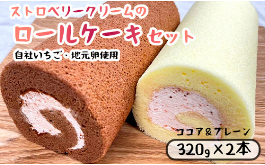 いちごクリームの ロールケーキ セット 2本 （320g×2）（プレーンとココア) 舞鶴産いちご 舞鶴産卵 舞鶴産たまご 地元卵 ロールケーキ ココアロールケーキ 洋菓子 ケーキ 苺 いちごロール ストロベリーロール スイーツ セット