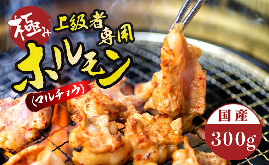 国産 牛 極上 上級者専用 ホルモン ( マルチョウ ) 300g 附属タレ付き | 冷蔵 丸腸 もつ鍋 タレ揉み 中元 ギフト お祝いモン モツ 丸腸 まるちょう 焼き肉 BBQ 味付け肉 キャンプ アウトドア 京都 舞鶴