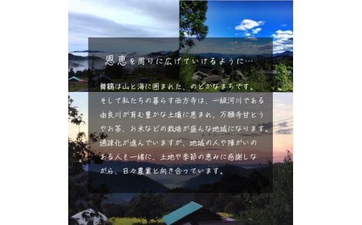 縺医#縺セ豐ケ 110gテ5譛ャ 辟。霎イ阮ャ 閾ェ螳カ譬ス蝓ケ 菴取クゥ蝨ァ謳セ 逕溽オ槭j 縺医#縺セ繧ェ繧、繝ォ 繧ェ繧、繝ォ 豐ケ 讀咲黄豐ケ 蛛・蠎キ 蝗ス逕」 鬟溽畑豐ケ 闕剰Γ鮗サ