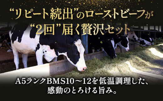 【6回定期便】肉のソムリエ厳選定期便 ： 牛タン3種食べ比べ・A5黒毛和牛ハンバーグ・A5黒毛和牛ローストビーフ・焼豚・ワイルド牛タン | 牛タン 食べ比べ A5 黒毛和牛 ハンバーグ ローストビーフ定期便 肉 ギフト 冷凍 お取り寄せグルメ 焼くだけ 簡単調理 個包装 ソムリエ厳選