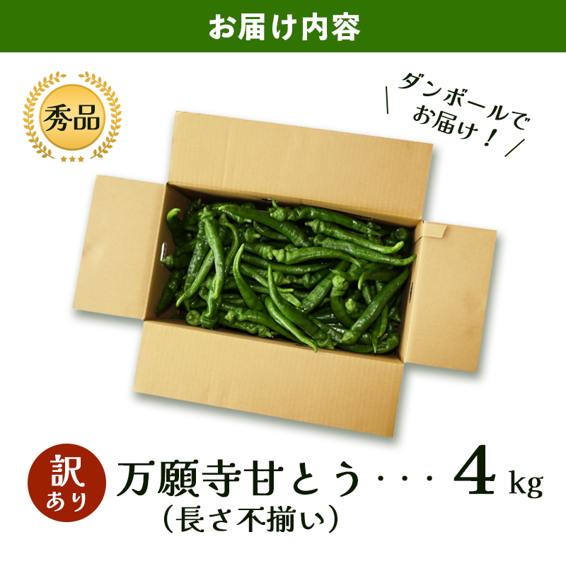 ãèš³ããã äžé¡å¯ºçãšã ç§å 4kg | é·ãäžæã èŸããªã京éè èå ãžã¥ãŒã·ãŒ 京éœç£ æ¬ å£ç¯ã®éè è©°ãåãã 京ã®ãã©ã³ãç£å 京éè äžé¡å¯º ãŸãããã éè å€éè ãåç£ æåç£ JA äº¬éœ ç¶Ÿéš