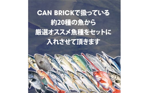  京都舞鶴 アヒージョ 缶詰 おまかせ 4缶 セット 75g/缶 CAN BRICK カレーアヒージョ×2缶 スパイスアヒージョ×2缶 長期保存 備蓄 災害 キャンプ 保存食 缶詰 魚 海鮮 シーフード 旬 さわら