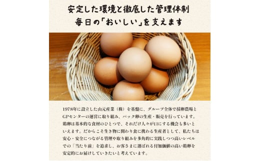 【定期便】隔週/２４回 卵 合計1920個 無選別 MS〜LL 京の贈り物 20個×4パック×24回 240,000円