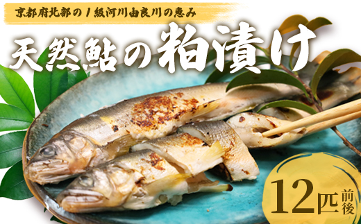 天然鮎の粕漬け 12匹 【 由良川漁協 あゆ 鮎 アユ 魚 魚介 川魚 海鮮 漬け魚 粕漬け 酒粕 天然 大人 贅沢 おつまみ 酒の肴 珍味 舞鶴 京都 】