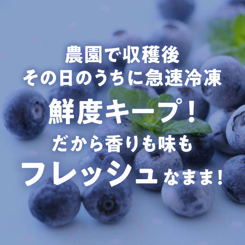 ブルーベリー カヌレ 10個 Blueberry valley Maizuru産ブルーベリーを使用 | 特製カヌレ ブルーベリーカヌレ ブルーベリーバレーまいづる スイーツ ギフト お取り寄せ 冷凍カヌレ 手土産