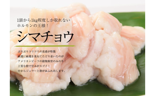 【 訳あり 】 中トロホルモン 西京味噌焼き 1.5kg ( 100gパック ) トロ 焼肉 牛 西京焼き 味噌 味付 小分け 冷凍 牛 肉 熨斗 贈答 ギフト 希少部位 肉 お歳暮 御歳暮 御中元 お中元 便利 簡単調理 厳選 キャンプ アウトドア 内祝 ほるもん おかず 味付けホルモン 肉 舞鶴 西京焼き 幸福亭