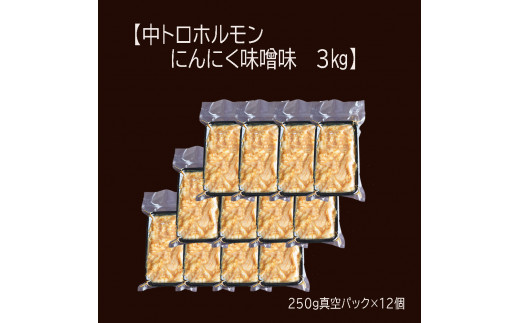 【 訳あり 】 中トロ ホルモン 3kg(250g×12) にんにく 味噌味 トロ 焼肉 牛 西京焼き 味噌 味付 小分け 冷凍 牛 肉 熨斗 贈答 ギフト 希少部位 肉 お歳暮 御歳暮 御中元 お中元 便利 簡単調理 厳選 キャンプ アウトドア 内祝 ほるもん おかず 味付けホルモン 肉 舞鶴 西京焼き 幸福亭