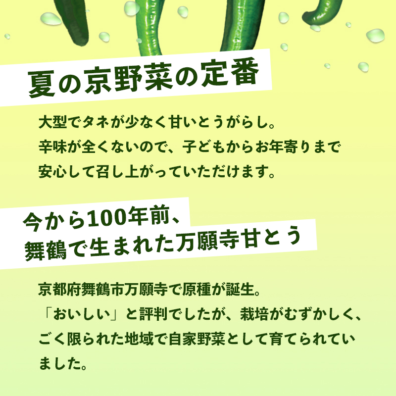 ãèš³ããã äžé¡å¯ºçãšã è¯å 2kg | 圢ã»é·ãäžæã èŸããªã京éè å€éå® å³èŠ èå ãžã¥ãŒã·ãŒ 京éœç£ æ¬ å£ç¯ã®éè è©°ãåãã 京ã®ãã©ã³ãç£å 京éè äžé¡å¯º ãŸãããã éè å€éè ãåç£ æåç£ JA äº¬éœ ç¶Ÿéš