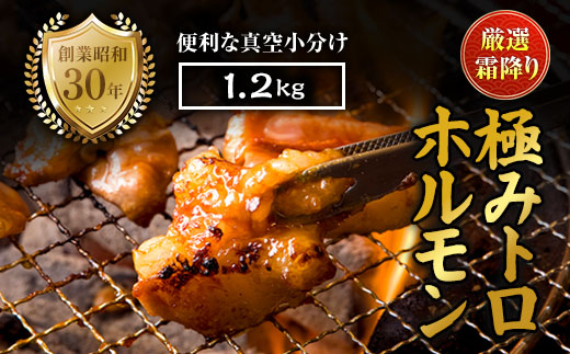 霜降り 極みトロホルモン 1.2kg 秘伝のタレ付き | 国産 極トロホルモン 霜降り ホルモン 冷凍 真空パック 家庭用 ホルモンうどん　八島丹山 京都 舞鶴