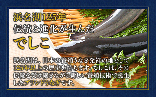 浜名湖ブランド「でしこ」うなぎ蒲焼 2尾 | うなぎ 蒲焼 国産 浜名湖 でしこ メスうなぎ 浜名湖うなぎ 関東風 うな丼 土用の丑の日 高級うなぎ 肉厚 ふっくら 冷凍 京都 舞鶴 老舗 専門店 お取り寄せ グルメ ギフト 贈答 人気