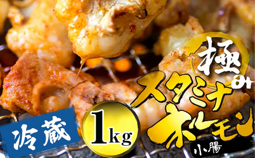 【タレ揉み】 極みの スタミナ ホルモン 1kg 250×4袋 小分け タレ付き | ほるもん 牛肉 牛ホルモン モツ 焼き肉 BBQ 味付け肉 キャンプ アウトドア 京都 舞鶴