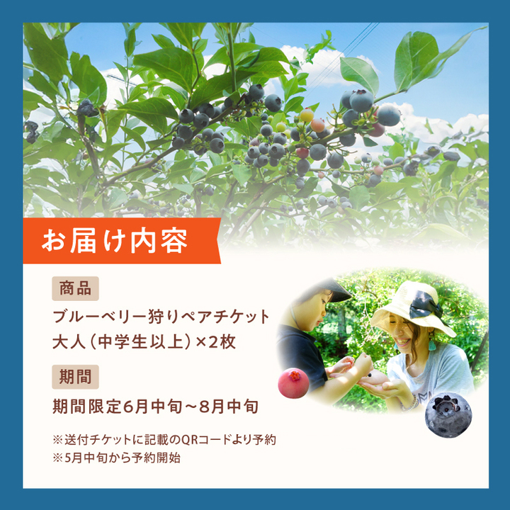 【6月〜8月】 ブルーベリー狩り ペアチケット 【時間無制限・食べ放題】 | ブルーベリー 果物 フルーツ狩り 中学生以上 摘み取り 体験 チケット ペア 時間 無制限 食べ 放題 関西 京都 舞鶴