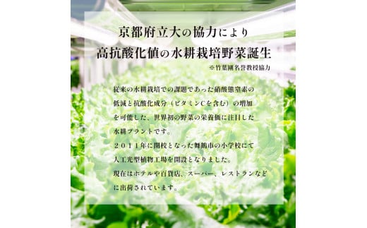 みらい乃野菜 はんなりレタス 10袋 + おケールハン 2袋 12袋 720g
