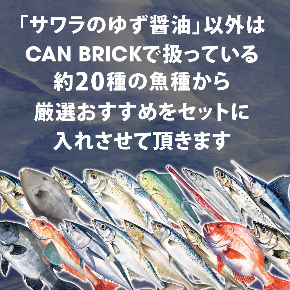 京都舞鶴 贅沢缶詰 BESTセレクション セット 75g/缶 10缶 セット 