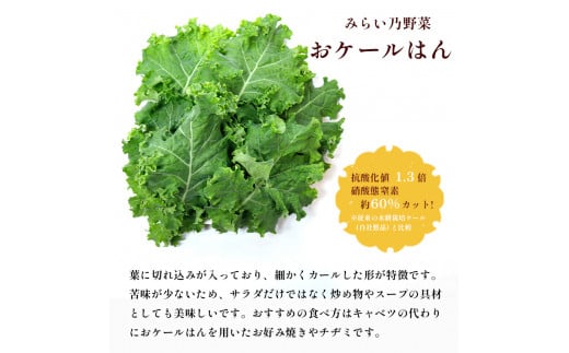 みらい乃野菜 はんなりレタス 10袋 + おケールハン 2袋 12袋 720g