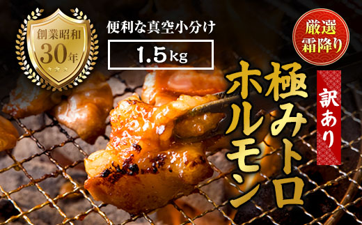 【訳あり】霜降り 極みトロホルモン1.5kg 秘伝のタレ付き | 国産 訳あり極トロホルモン 訳あり 霜降り ホルモン 冷凍 真空パック 家庭用 ホルモンうどん　八島丹山 京都 舞鶴