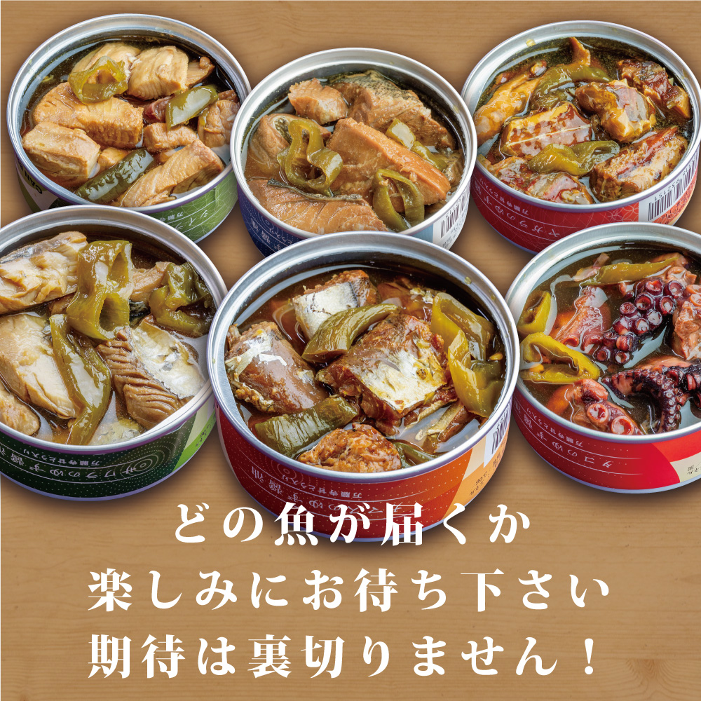 京都舞鶴 贅沢缶詰 BESTセレクション セット 75g/缶 10缶 セット 