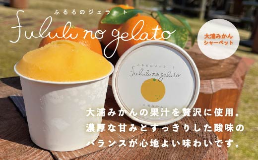 舞鶴ふるるファーム 手作りジェラート 6種セット 抹茶 大浦みかん 小倉ミルク ブルーベリー いちごミルク ミルク | 手作りジェラート 舞鶴ジェラート 地元食材ジェラート 苺ジェラート ブルーベリージェラート 抹茶ジェラート 大浦みかんシャーベット 丹波大納言ジェラート 有精卵ジェラート ギフト