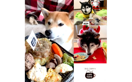 愛犬用 お弁当 セット 詰め合わせ M サイズ スープ おやつ 3袋 中型犬 セット 詰め合わせ 無添加 ご飯 ドッグフード ペット エサ 餌 お好み焼き 鶏ハンバーグ チャーハン 牛タン そぼろ 卵焼き 季節 野菜 京都 舞鶴