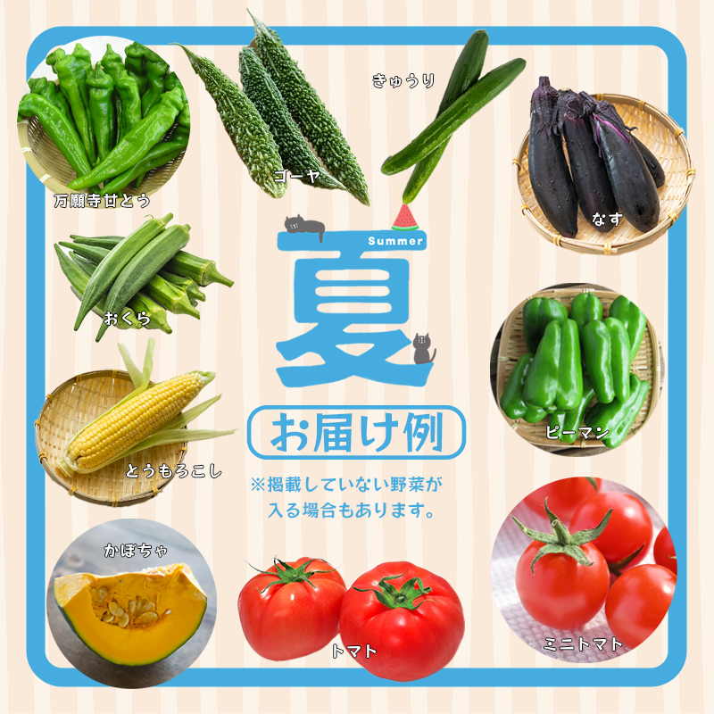 äº¬éœ èé¶Ž å£ç¯ã®éèBOX è©°ãåã ã»ãã 6ã8çš®é¡ ïŒ å£ç¯ã®éè æ¬ã®éè æ¬éè æ°é®® 京éè é£å å·èµ å
«çŸå± å³éž ç£å°çŽé ããã ããžã¿ãã« ããã¯ã¹ éèã»ãã