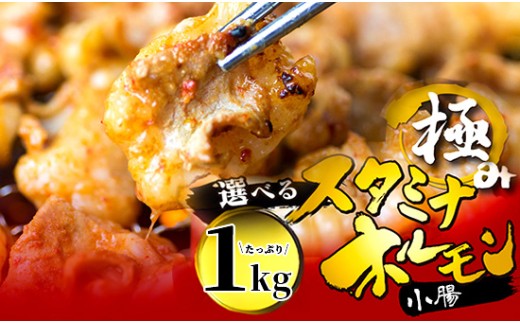 [タレ揉み] 極みの スタミナ ホルモン マルチョウ 1kg 250×4袋 小分け タレ付き