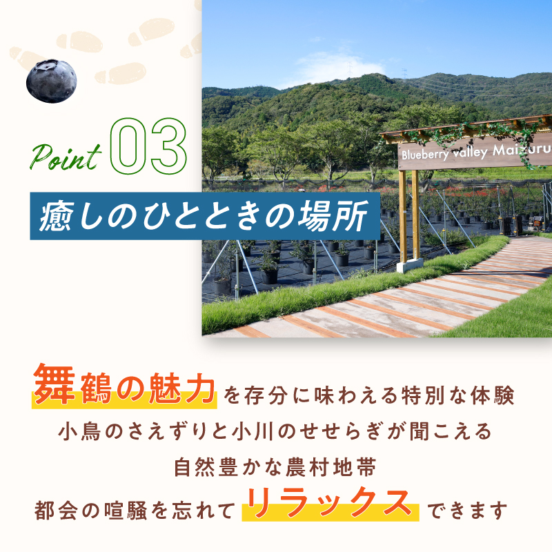【6月〜8月】 ブルーベリー狩り ペアチケット 【時間無制限・食べ放題】 | ブルーベリー 果物 フルーツ狩り 中学生以上 摘み取り 体験 チケット ペア 時間 無制限 食べ 放題 関西 京都 舞鶴