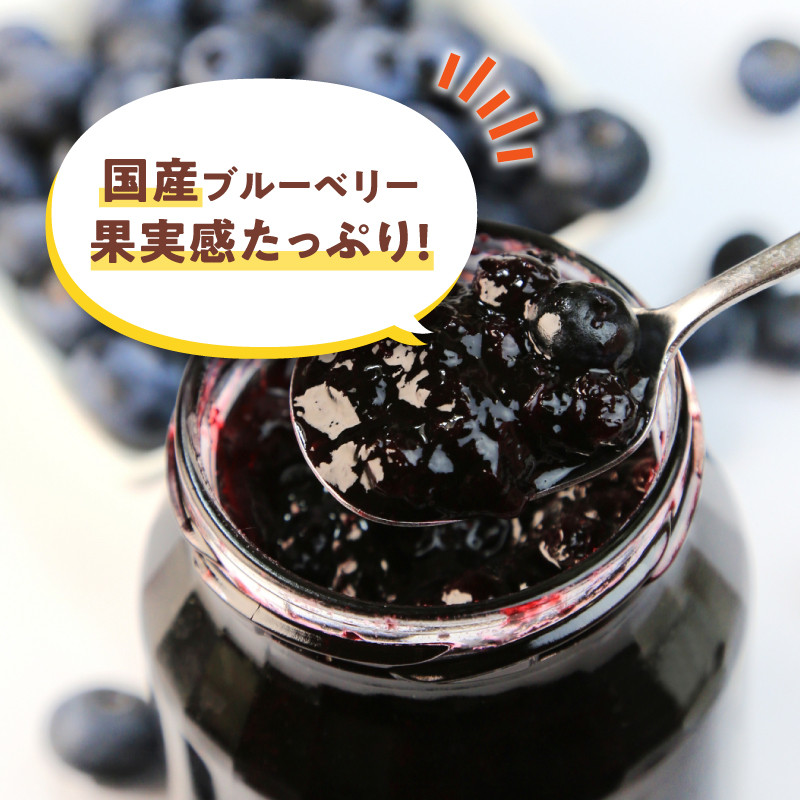 ブルーベリーソース 3本 国産 ブルーベリー ソース  保存料・着色料・添加物不使用 | ブルーベリージャム 3本セット  甘さ控えめ 保存料 着色料 添加物不使用 フルーツソース スイーツ ギフト お取り寄せ