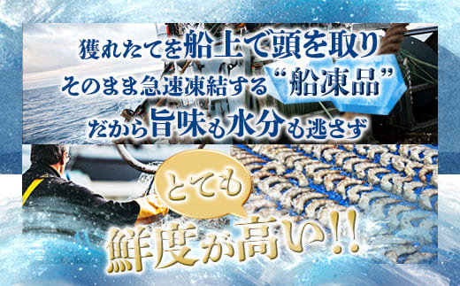 背ワタ処理済み 天然 大粒ムキエビ 400g 約30尾 冷凍 海老 | エビ えび お取り寄せ 無保水 おせち 大粒 むきえび むきエビ むき身 背わたなし 処理済 下ごしらえ不要 簡単 簡単調理 便利