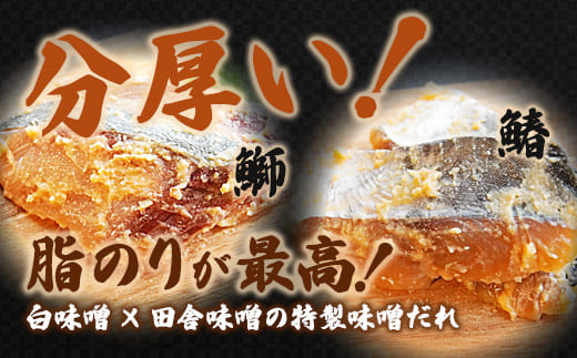 【冬季限定】天然ぶり×天然さわら 味噌漬け 10切れ (鰤×5＋鰆×5） 食べ比べ セット | ぶり さわら 各5切 各1パック 味噌漬け 鰆 冬季限定 京都 舞鶴 若狭湾 日本海 魚 漬け魚 冷凍 魚惣菜 海鮮 ギフト 手仕込み 老舗魚屋 無添加  惣菜セット ご飯のお供 和食 惣菜 真空パック