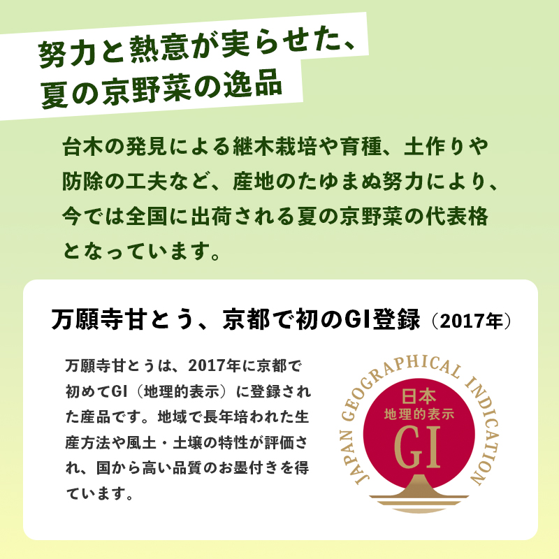 ãèš³ããã äžé¡å¯ºçãšã è¯å 2kg | 圢ã»é·ãäžæã èŸããªã京éè å€éå® å³èŠ èå ãžã¥ãŒã·ãŒ 京éœç£ æ¬ å£ç¯ã®éè è©°ãåãã 京ã®ãã©ã³ãç£å 京éè äžé¡å¯º ãŸãããã éè å€éè ãåç£ æåç£ JA äº¬éœ ç¶Ÿéš