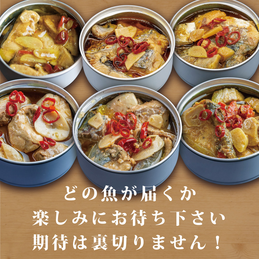 京都舞鶴 アヒージョ 缶詰 おまかせ 6缶 セット 75g/缶 CAN BRICK スパイスアヒージョ 長期保存 備蓄 災害 キャンプ 保存食 缶詰 魚 海鮮 シーフード 旬 さわら 