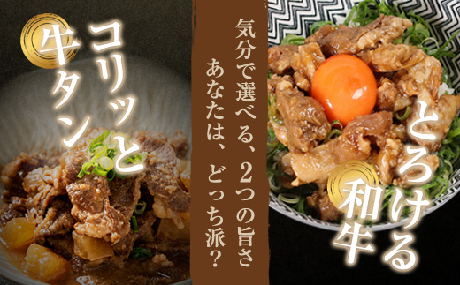 【お肉ソムリエ厳選】贅沢煮込み食べ比べセット A5黒毛和牛すじ煮込み × 牛タン味噌煮　計4パック | 牛すじ煮込み 牛タン味噌煮 食べ比べ セット A5黒毛和牛 中落タン 煮込み 惣菜 冷凍 おつまみ ご飯のお供 精肉店 お肉ソムリエ 贈答用