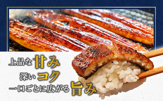 浜名湖産 うなぎ蒲焼き 特製タレ付き 2尾 | うなぎ 蒲焼き 国産 浜名湖産 ギフト プレゼント 贈答用 冷凍 土用の丑の日 うな丼 特製タレ 職人手焼き 関東風 うなぎの蒲焼 鰻京都 舞鶴