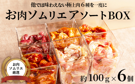 【お肉ソムリエ厳選】 肉アソートBOX 6種詰め合わせ | 焼肉 お肉セット アソートBOX 冷凍おかず 簡単調理 肉ギフト 焼肉セット 時短メニュー おつまみ 詰め合わせ 味付け肉 焼き肉 BBQ 贈答 贈り物 プレゼント 熨斗