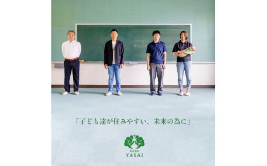 【 定期便 】 みらい乃野菜 はんなりレタス 12袋 720g 12回 120,000円