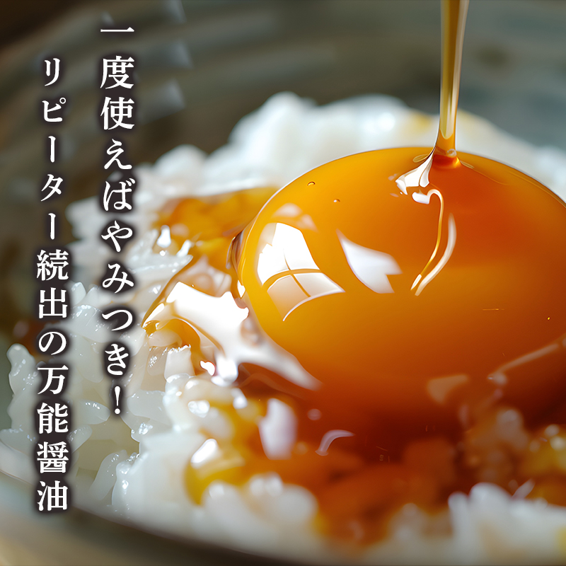 うま味醤油 200ml×2パック パウチ ： 旨味調味料 醤油 しょう油 調味料 旨味 うまみ しょうゆ TKG 料理 調理 キャンプ BBQ アウトドア 和食 洋食 隠し味 これだけ 美味しい うまい 人気 リピーター 京都 舞鶴 炭火串焼 灯志 