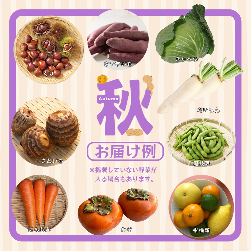 äº¬éœ èé¶Ž å£ç¯ã®éèBOX è©°ãåã ã»ãã 6ã8çš®é¡ ïŒ å£ç¯ã®éè æ¬ã®éè æ¬éè æ°é®® 京éè é£å å·èµ å
«çŸå± å³éž ç£å°çŽé ããã ããžã¿ãã« ããã¯ã¹ éèã»ãã