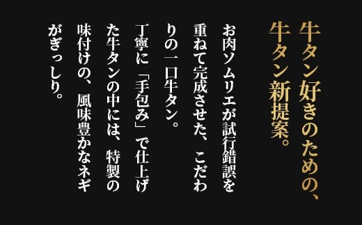 手包み 肉汁 ネギ 塩タン 8個入 牛たん タン 牛 牛肉 ビーフ 塩味 厳選 人気 焼肉 冷凍 小分け 高級 ギフト 人気 贈答用 美味しい お勧め お中元 お歳暮 舞鶴市 京都府