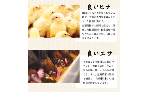 【定期便】毎月/６回 卵 合計480個 無選別 MS〜LL 京の贈り物 20個×4パック×6回 60,000円