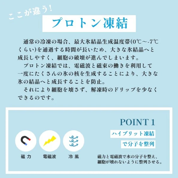 国産 うなぎ 蒲焼 2尾 特製ダレ付 冷凍 有頭 鰻 うなぎ蒲焼 調理済 ウナギ たれ付き 簡単 お取り寄せ グルメ 国産鰻 養殖