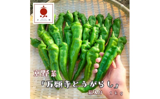 【2026年夏発送】京野菜 「万願寺とうがらし」 からくない！肉厚甘い 逸品 箱入り 1kg 2〜4人用 伝統野菜 とうがらし 万願寺 ピーマン 大型 野菜 夏野菜 農家直送 揚げ物 炒め物 煮物 レシピ付き京都 舞鶴