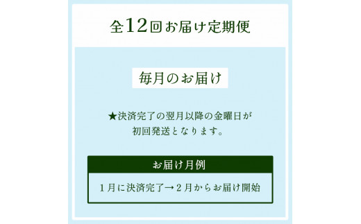 【 定期便 】 みらい乃野菜 はんなりレタス 12袋 720g 12回 120,000円