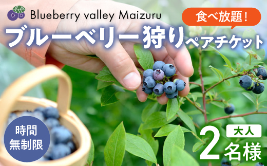 【6月〜8月】 ブルーベリー狩り ペアチケット 【時間無制限・食べ放題】 | ブルーベリー 果物 フルーツ狩り 中学生以上 摘み取り 体験 チケット ペア 時間 無制限 食べ 放題 関西 京都 舞鶴