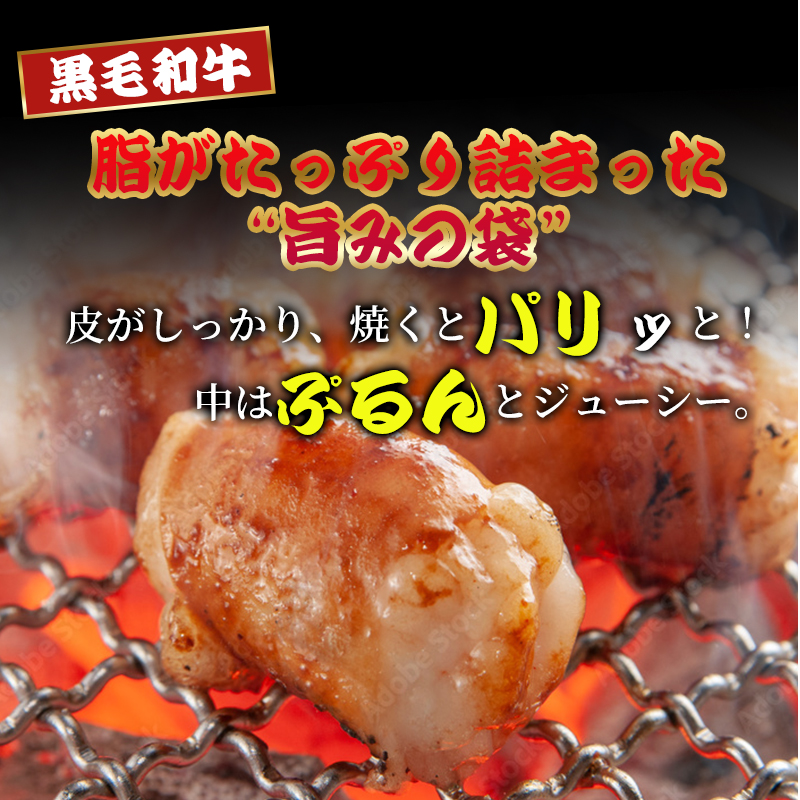 【訳あり】 国産 黒毛和牛 ホルモン 西京味噌焼き 500g (100g×5) 冷凍 小分け | 国産牛 和牛 丸腸 マルチョウ 焼肉 焼き肉 牛 西京焼き 味噌 味付 小分け 冷凍 熨斗 贈答 熨斗 御歳暮 お歳暮 ギフト