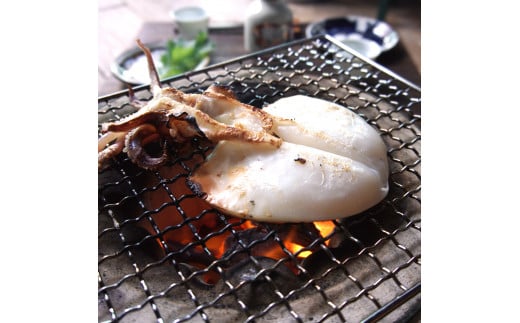 海鮮三昧 干物 ７種 詰め合わせ セット ひもの 詰め合わせ 盛り合わせ たくさん 冷凍 お取り寄せ グルメ 日本海 旬 魚 海鮮 魚介 加工品 海産物 アジ イワシ ニギス アジ一夜干 連子鯛  甘鯛 一夜干 季節の魚